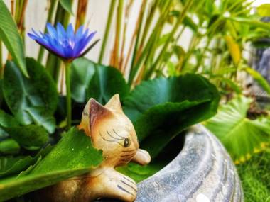 Coconut Grove Boutique Hotel