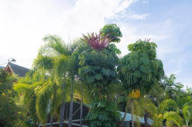 Blue Beach Grand Resort And Spa SHA Plus