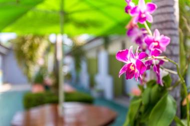 OYO 450 Rawai Studios Resort