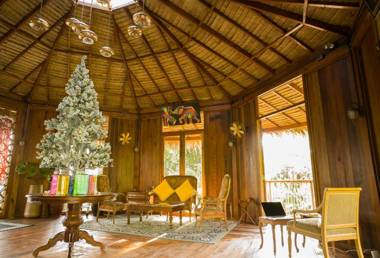 AKRA COLLECTION LAYAN