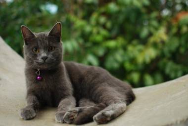 Baan Trok Bedroom Studio Maikhao