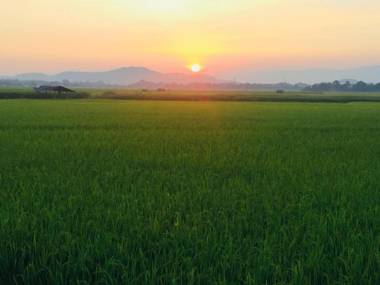 Pagoda Sight Residence