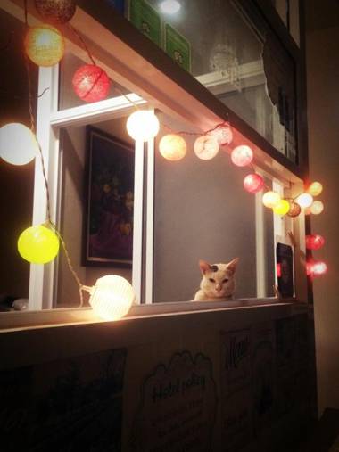 Thorfun Guesthouse in the Garden