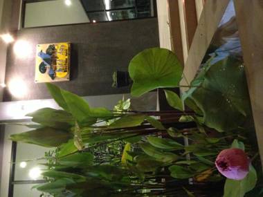 Bird Day Boutique Hotel