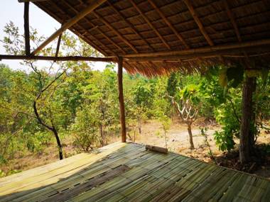 Amaravati Wellness Center SHA Plus