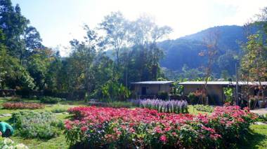 Bann Noon Norn Mae Jam