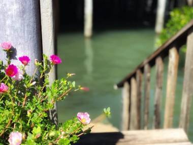 The mangrove old town