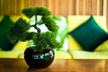 Initial Hua Hin - SHA Plus