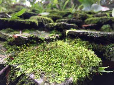 PAN KLED VILLA eco hill resort - SHA extra plus