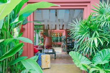 The Opium Chiang Mai