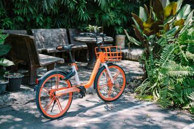 The Odyssey Chiang Mai