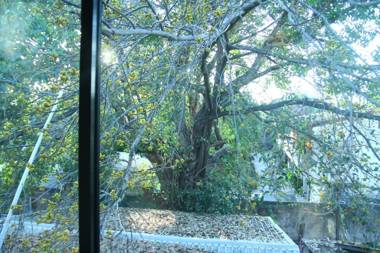 Si Phum Heritage Boutique Bed & Breakfast