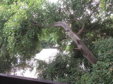 Mountain View GuesthouseChiangmai