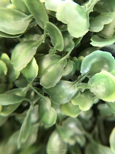 Stay in Style Doi Suthep View with Oasis @ DCondo