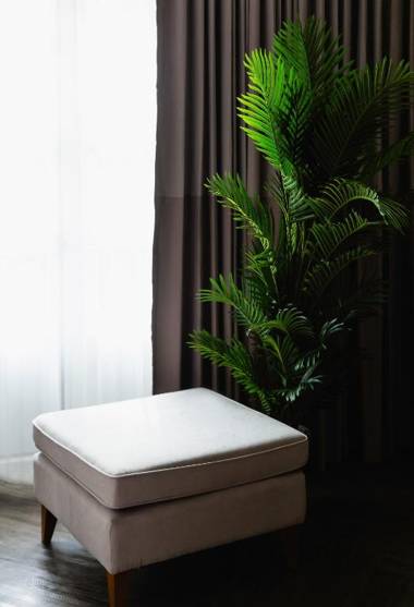 MiLa Thapae@Chiang Mai Old City