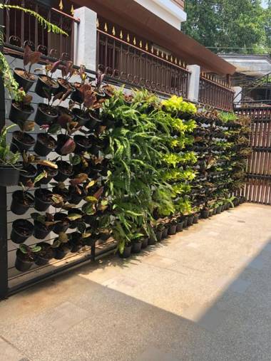 Celosia Chiang Mai Hotel