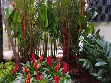 Hotel De Sripoom -SHA Extra Plus