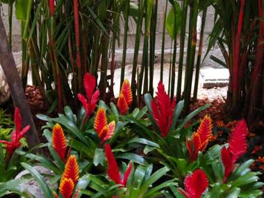 Hotel De Sripoom -SHA Extra Plus