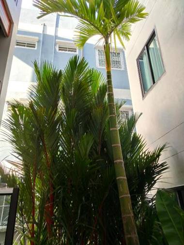 Hotel De Sripoom -SHA Extra Plus