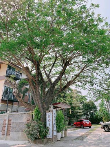 Pimlada พิมพ์ลดา