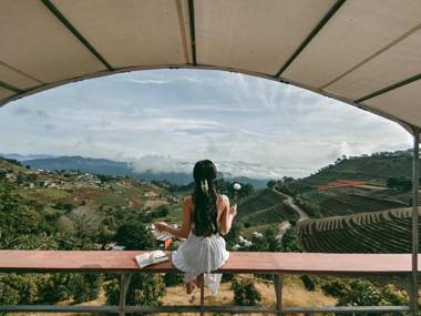 Monchapaplearn ม่อนชาพาเพลิน