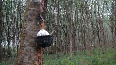 Ton Yaang private pool villa
