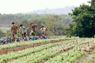 COOLLiving Farmhouse Organic