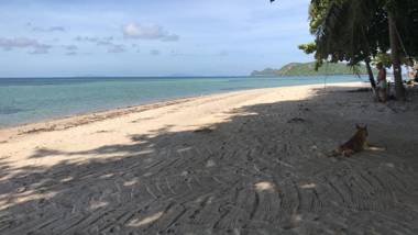 Phangan Villa Bungalows