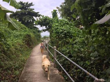 Private Lodge Beachside Samui Lamai