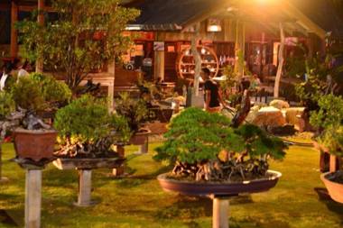 18 Bonsai Garden Resort