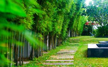 Palm Grove Resort Pattaya