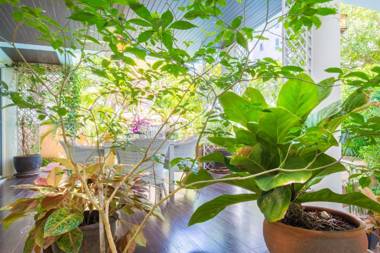 Paradise Pool Villa Pattaya in Tropicana Village