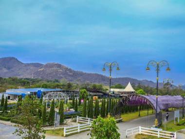 The Bloom By Tv Pool