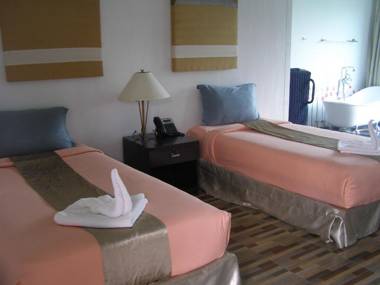 The Bloom By Tv Pool