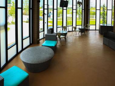 The Bloom By Tv Pool