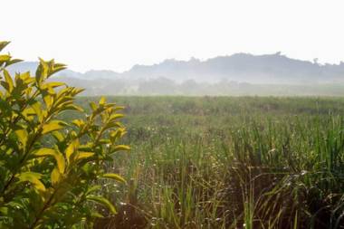 Les Collines Khaoyai Resort