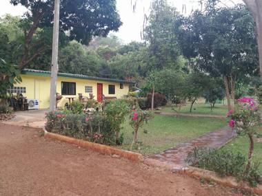 Eden Garden