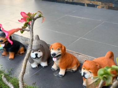 Baan SamPeeNong Khaoyai