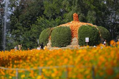 บ้านพักสบาย รีสอร์ท(baanpaksabai resort)