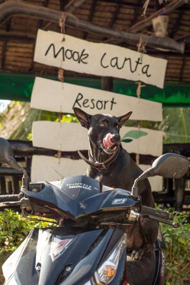 Mook Lanta Eco Resort