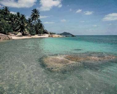 Somewhere Only We Know