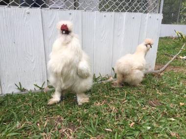 Supalai Pasak Resort Hotel And Spa