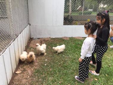 Supalai Pasak Resort Hotel And Spa