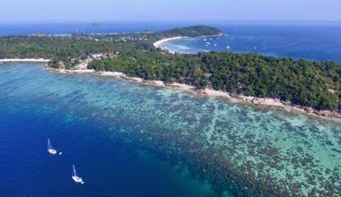 The Cliff Lipe