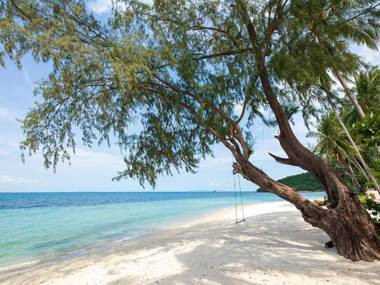 Akuvara - SHA Extra Plus