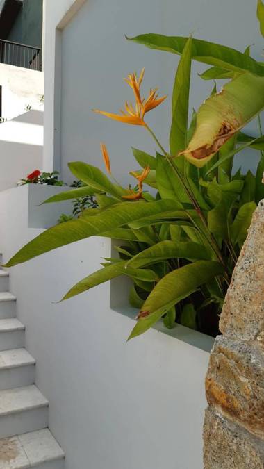 Two Sisters Hill - Vue sur mer - 3 BR