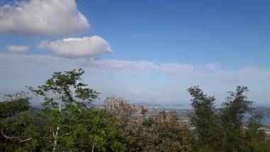 Condo Minium Patong Phuket