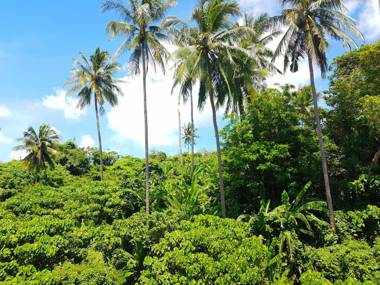 Sea & Sky Karon Beach by PHR