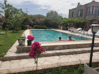 Green House Boğaziçi-Dodo House