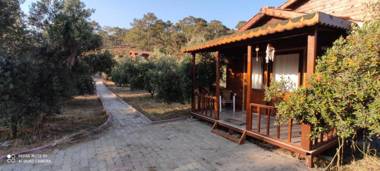 olive garden bungalow